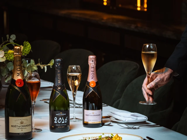 MOET Grand vintage MCR PDR 2319