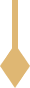 An ornamental decorative graphic