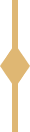 An ornamental decorative graphic